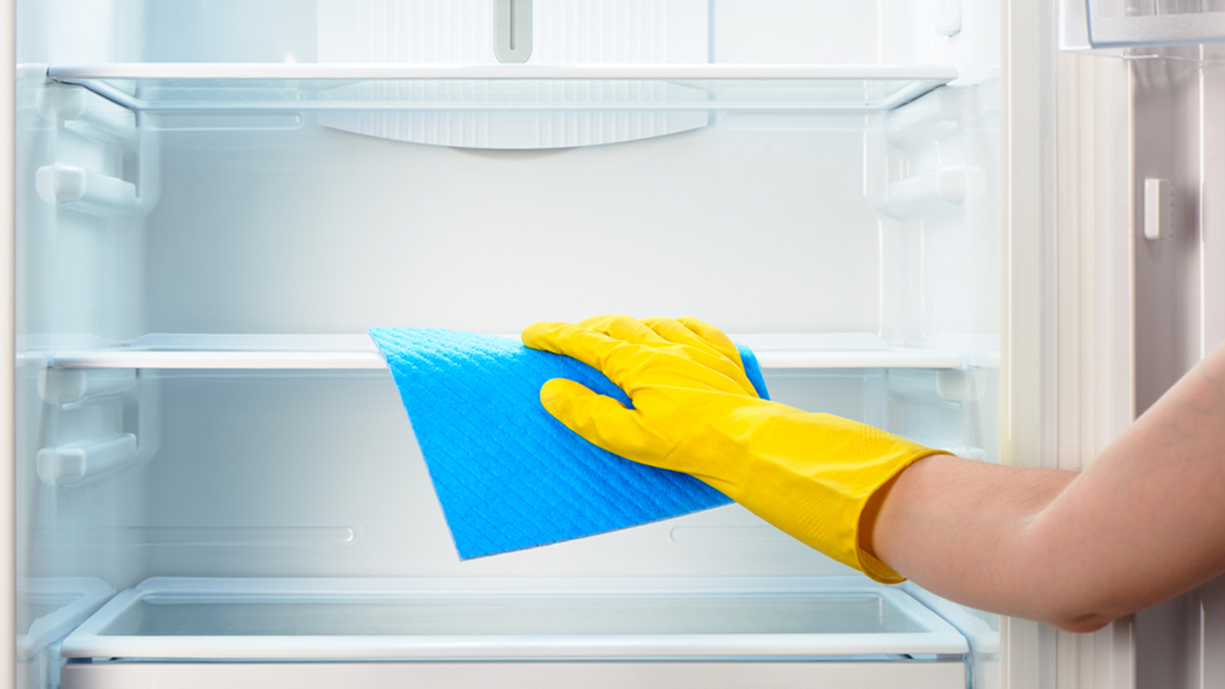 How To Clean Out Your Refrigerator - Freshclean